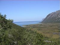 Ballesvika