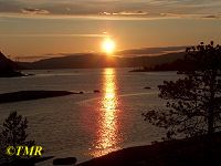 Midnattsol ved Tmmerneset