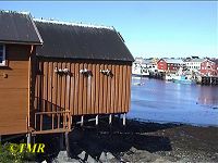 'Fuglefjell' i Vard