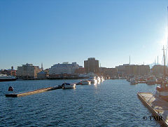 Bilde 7