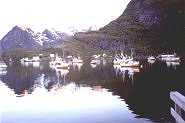 Moskeneshavn
