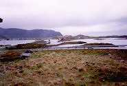 Bruer