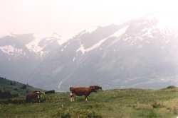 Bilde3