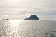 Alden - Den Norske hest