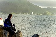 Palmar ser mot Moltustranda