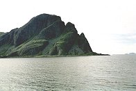 Alden - Den Norske hest
