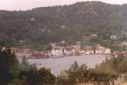Bilde 5