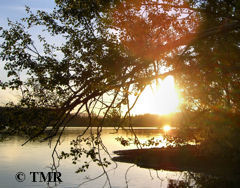 Midnatt ved Litlvatnet sr for Ryrvik