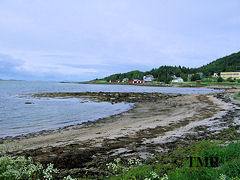 Ved Skaland