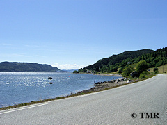 Ved Orkdalsfjorden