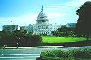 The Capitol