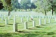 Arlington