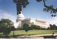 The Capitol