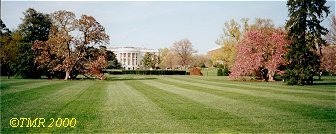 The White House