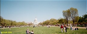 The Mall