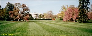 The White House