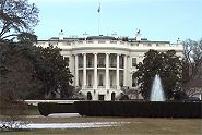 The White House 