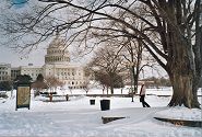 The Capitol