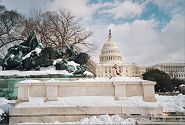 The Capitol