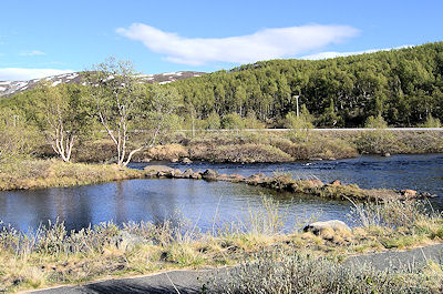 Ved Kyrkjestlane.