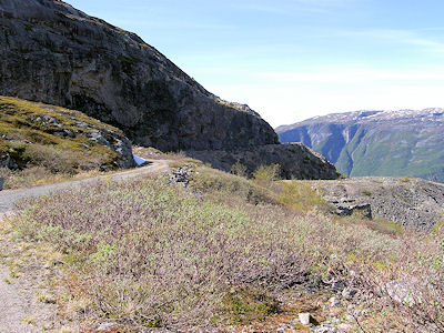 Fra Gamlevegen