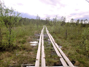 Stien mot Treriksrysa